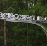 Власти Североуральска попросили губернатора ограничить въезд в город из-за пандемии коронавируса - Между Строк