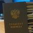 Электронные больничные и трудовые книжки, ограничения для микрозаймов и карты “МИР”: какие изменения в законы вступают в силу в декабре - Между Строк