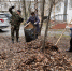 В Нижнем Тагиле сотрудники городской больницы № 1 вышли на субботник - Тагильский рабочий