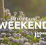Тагильский weekend топ-10: выставка японского художника, поход на гору и футбольный матч - Между Строк