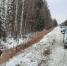 12 ДТП произошли за выходные в Нижнем Тагиле и пригороде - TagilCity.Ru