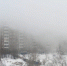 Проверку выбросов сероводорода в Нижнем Тагиле проведет Росприроднадзор - TagilCity.Ru