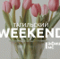 Тагильский weekend топ-14: масленичные гуляния и романтические концерты к 8 Марта - Между Строк