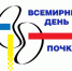 Бесплатная профилактическая акция «Месяц здоровой почки» пройдет с 14 марта по 10 апреля в Нижнем Тагиле - Тагильский рабочий