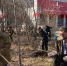 Добровольцы приняли участие в субботнике у «Красной площади» в Тагиле - TagilCity.Ru