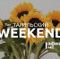Тагильский weekend топ-7:  Ночь кино, вечер поэзии и праздник манси  - Между Строк