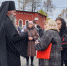 История храма святого Иоанна Богослова в престольный праздник - Нижнетагильская епархия