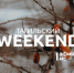 Тагильский weekend топ-7: «Ночь искусств», игра в «Мафию», театр теней и день открытых дверей в доме Окуджавы - Между Строк