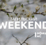 Тагильский weekend топ-6: спектакль-прогулка по городу, кулинарный мастер-класс для детей, открытие выставки «Автопортрет» и турнир по фигурному катанию - Между Строк