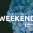 Тагильский weekend топ-6: отмечаем День молодёжи, смотрим документальное кино о художниках, делаем ловца снов и участвуем в экологической акции - Между Строк
