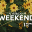 Тагильский weekend топ-6: советские настолки, импровизационное шоу и выходной двухдневный тур по городу - Между Строк