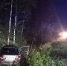 Водитель погиб под Нижним Тагилом после столкновения с лосем - TagilCity.Ru
