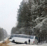Под Нижним Тагилом пассажирский автобус сбил пешехода и вылетел с трассы - Между Строк