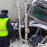 В ДТП с фурой под Нижним Тагилом погибли два человека - ИА Все новости