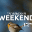 Тагильский weekend топ-8: поэтический полдник, театральный воркшоп, фестивальное кино  - Между Строк