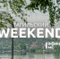 Тагильский weekend топ-6: «Ночь кино», выставка плёночной фотографии, ярмарка тагильских мастеров и поход на Медведь-Камень - Между Строк