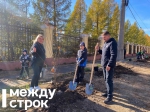 В Нижнем Тагиле работники ЕВРАЗ НТМК высадили 60 тополей в рамках акции «Семейное дерево»