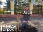 В Нижнем Тагиле работники ЕВРАЗ НТМК высадили 60 тополей в рамках акции «Семейное дерево»
