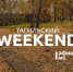 Тагильский weekend топ-6: конференция, посвящённая возрождению легендарного фруктового сада, концерт электронной музыки, диджей на фудкорте, волейбол и футбол - Между Строк