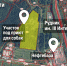 Администрация Нижнего Тагила в третий раз пытается найти проектировщика приюта для животных - ИА Все новости