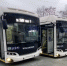 В Нижний Тагил прибыли три больших автобуса, которые соединят ГГМ и Вагонку - Между Строк