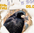 02 День Птиц 05.04.jpg - Музей-заповедник