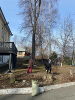 b360b81b-09ab-45bd-af56-63fca2cdabb2.JPG