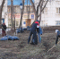 В Нижнем Тагиле 45% горожан против обязательных субботников - TagilCity.Ru