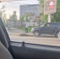 Лось погиб в ДТП под мостом в Екатеринбурге - TagilCity.Ru