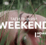 Тагильский weekend топ-5: уличное кино, сессия настольных игр, рок-концерт, картины из ткани и фестиваль Холи - Между Строк