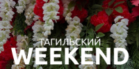 Тагильский weekend топ-6: концерт Amirchik, парусная регата, фестиваль уличных театров и картины о городе в реальном времени  - Между Строк