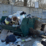 В Нижнем Тагиле займутся уборкой мусорных площадок - TagilCity.Ru