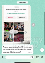 Мошенники звонят свердловским предпринимателям от имени БФ «Живи, малыш»