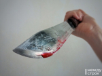 В Нижнем Тагиле будут судить предпринимателя, который, защищаясь, убил своего бизнес-партнёра