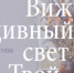 «Вижу дивный свет Твой» - Нижнетагильская епархия