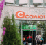 Креативный старт. Онлайн-репортаж Агентства новостей «Между строк» с кадрового форума «Включай себя» в Екатеринбурге, где каждый сможет понять, чего он хочет, и найти то, что ему нужно - Между Строк