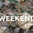 Тагильский weekend, топ-9: тёмная ноябрьская «Ночь искусств», волейбол и заплыв «моржей»  - Между Строк