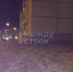 «Каждый выход из дома и возвращение превращаются в сражение за жизнь». На Красном Камне появилась стая собак, держащая в страхе местных жителей - Между Строк