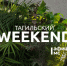 Тагильский weekend топ-7: культурная суббота, «Золотая мама», секреты интерьера кухни, диджей на фуд-корте, мастер-классы и детские праздники - Между Строк