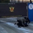Свердловское ГУФСИН показало кадры задержания вербовщика в террористические организации - Между Строк