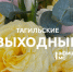 Тагильские выходные топ-6: День красоты, летающие лыжники, концерт группы «Каблуки & Бретельки» и просмотр французского кино-хита о любви  - Между Строк