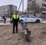 Внимание, водители и родители! - МУ МВД "Нижнетагильское" 