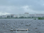 МЧС предупредило свердловчан о ливнях и грозах 14 сентября
